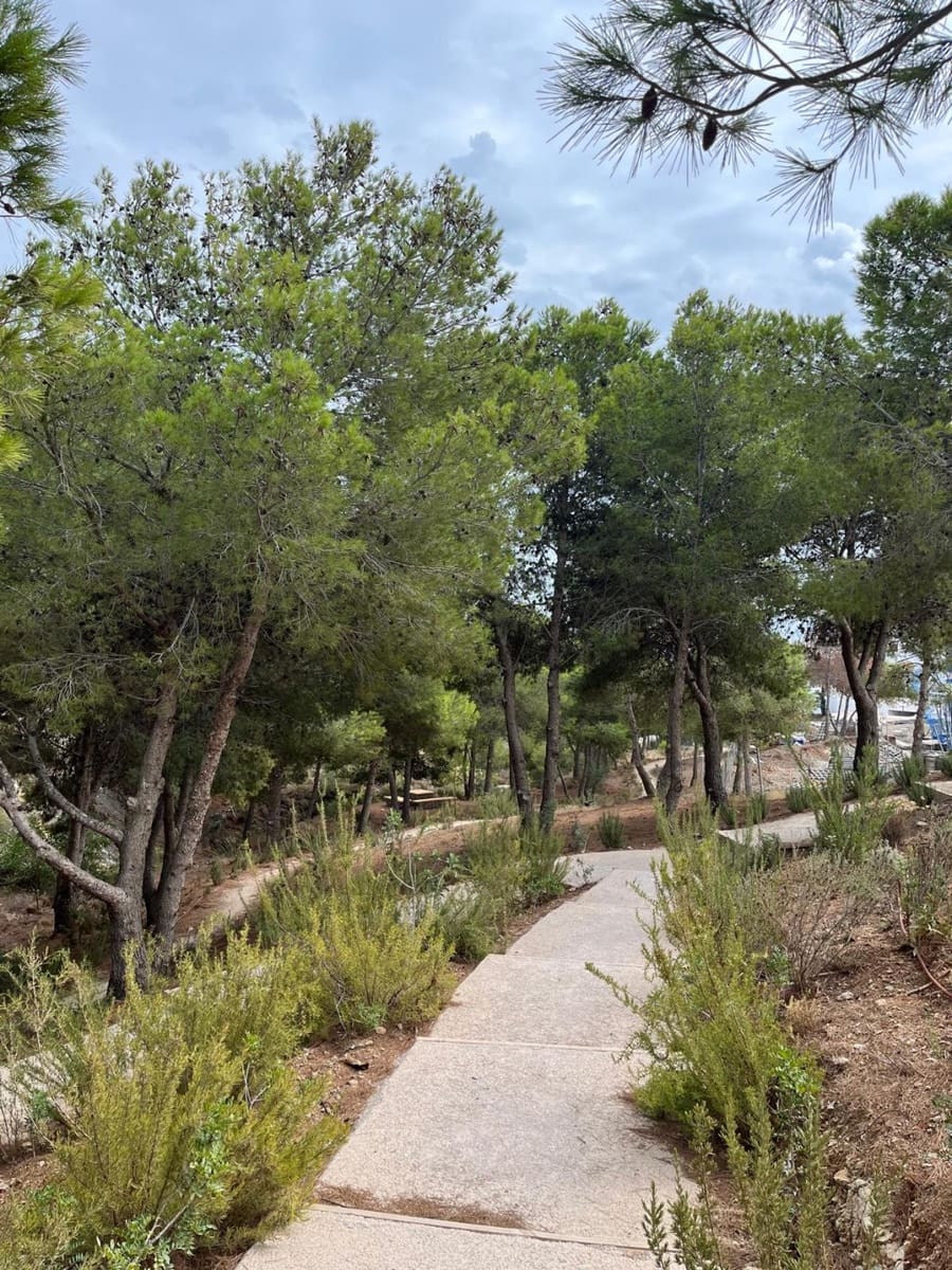 3 Zimmer Apartment zu verkaufen in Benalmadena mit Pool - 999.900 € (Ref: 9330339)