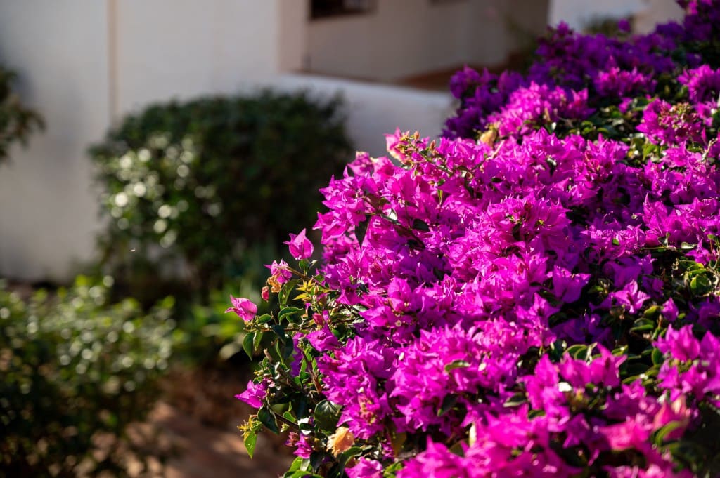 2 Zimmer Apartment zu verkaufen in Nerja mit Pool - 299.000 € (Ref: 9415563)