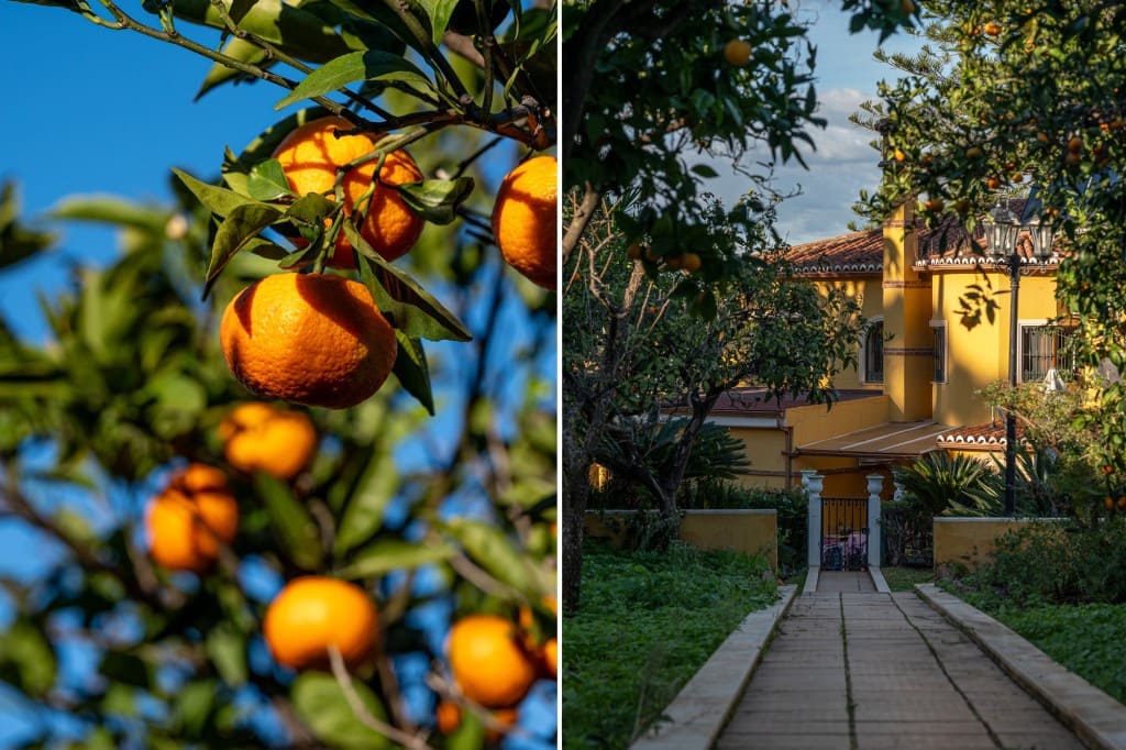 7 camera da letto Villa in vendita in Alhaurin de la Torre con piscina garage - 815.000 € (Rif: 9470515)