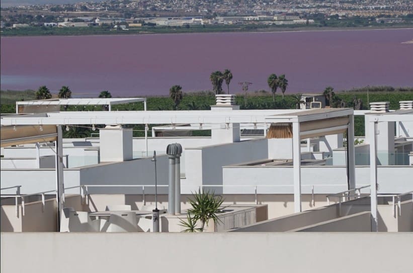 3 slaapkamer Penthouse te koop in Los Balcones met zwembad garage - € 360.000 (Ref: 9494446)