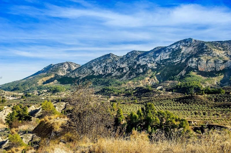 20 slaapkamer Hotel te koop in Alicante stad met garage - € 3.500.000 (Ref: 9496900)