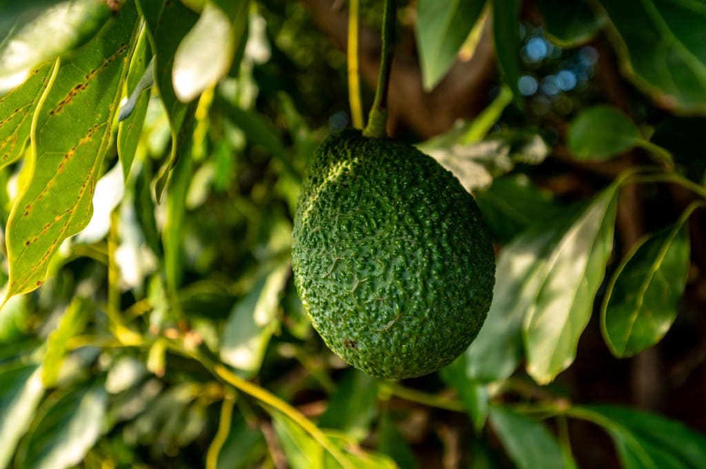 3 soveværelse Villa til salg i Nerja med swimmingpool - € 465.000 (Ref: 9535559)