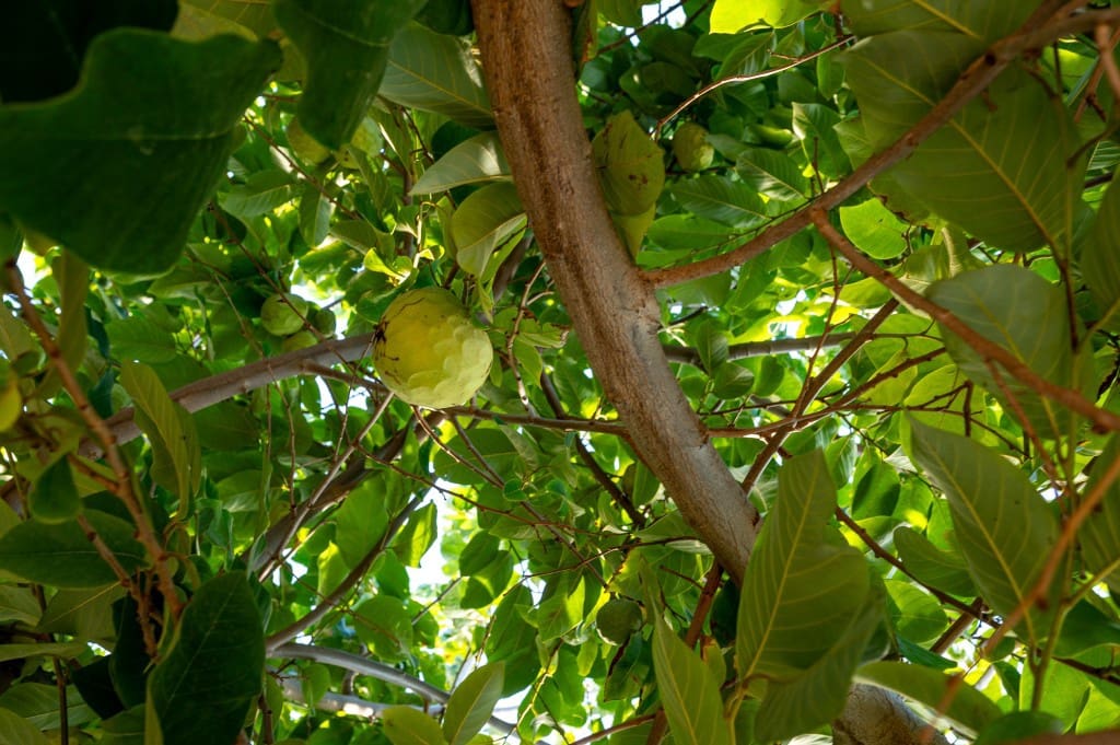 3 soveværelse Villa til salg i Nerja med swimmingpool - € 465.000 (Ref: 9535559)