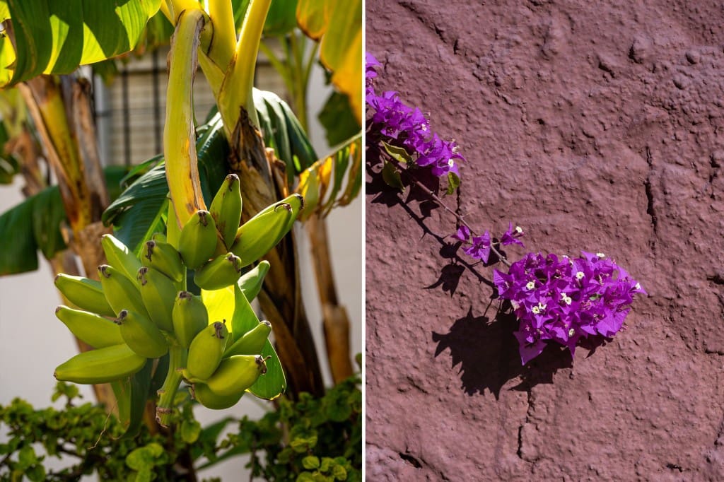 Casa de 2 habitaciones en Nerja en venta con piscina - 290.000 € (Ref: 9540831)