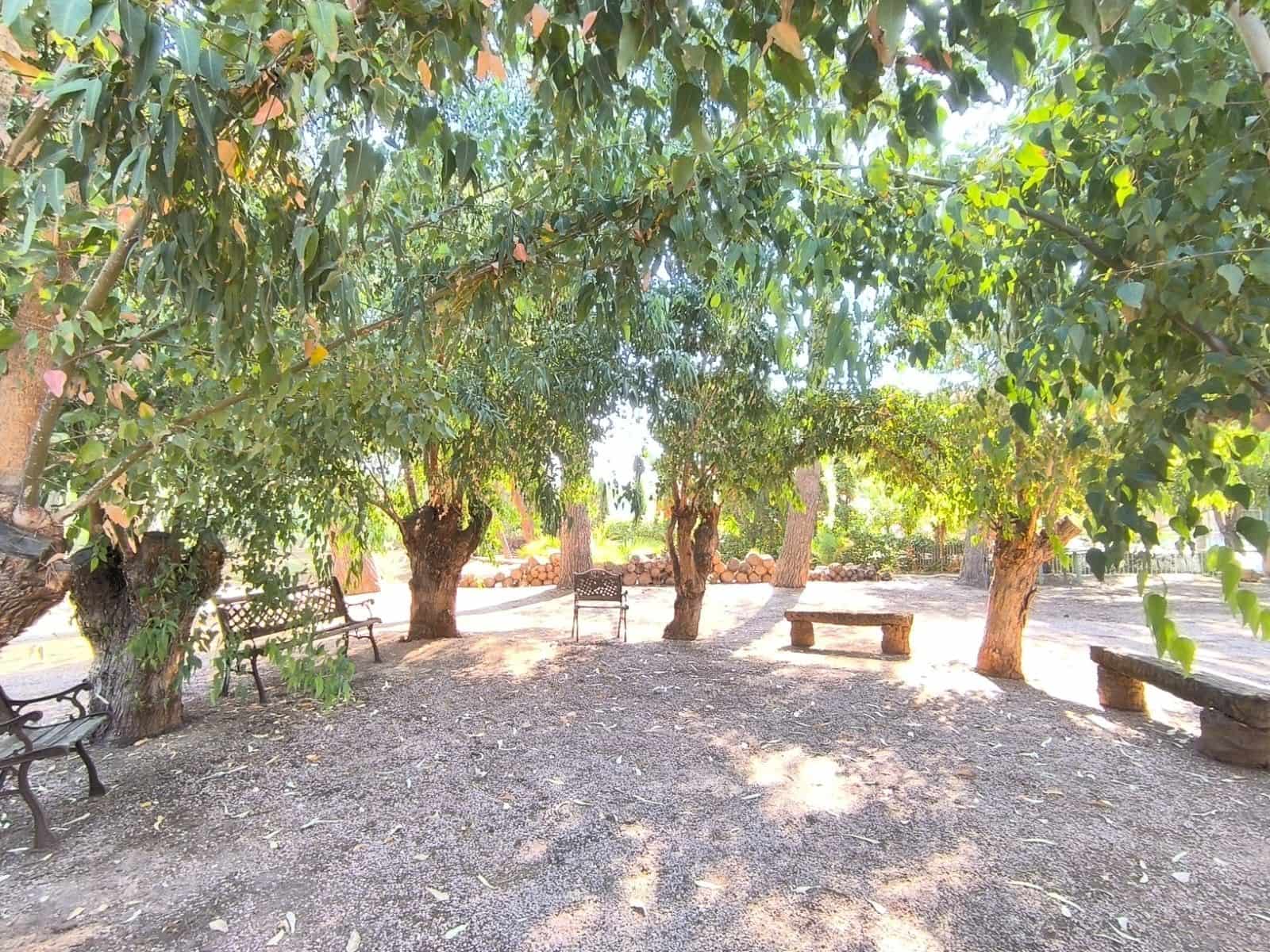 10 bedroom Villa for sale in Monovar / Monover with garage - € 624,995 (Ref: 10007703)