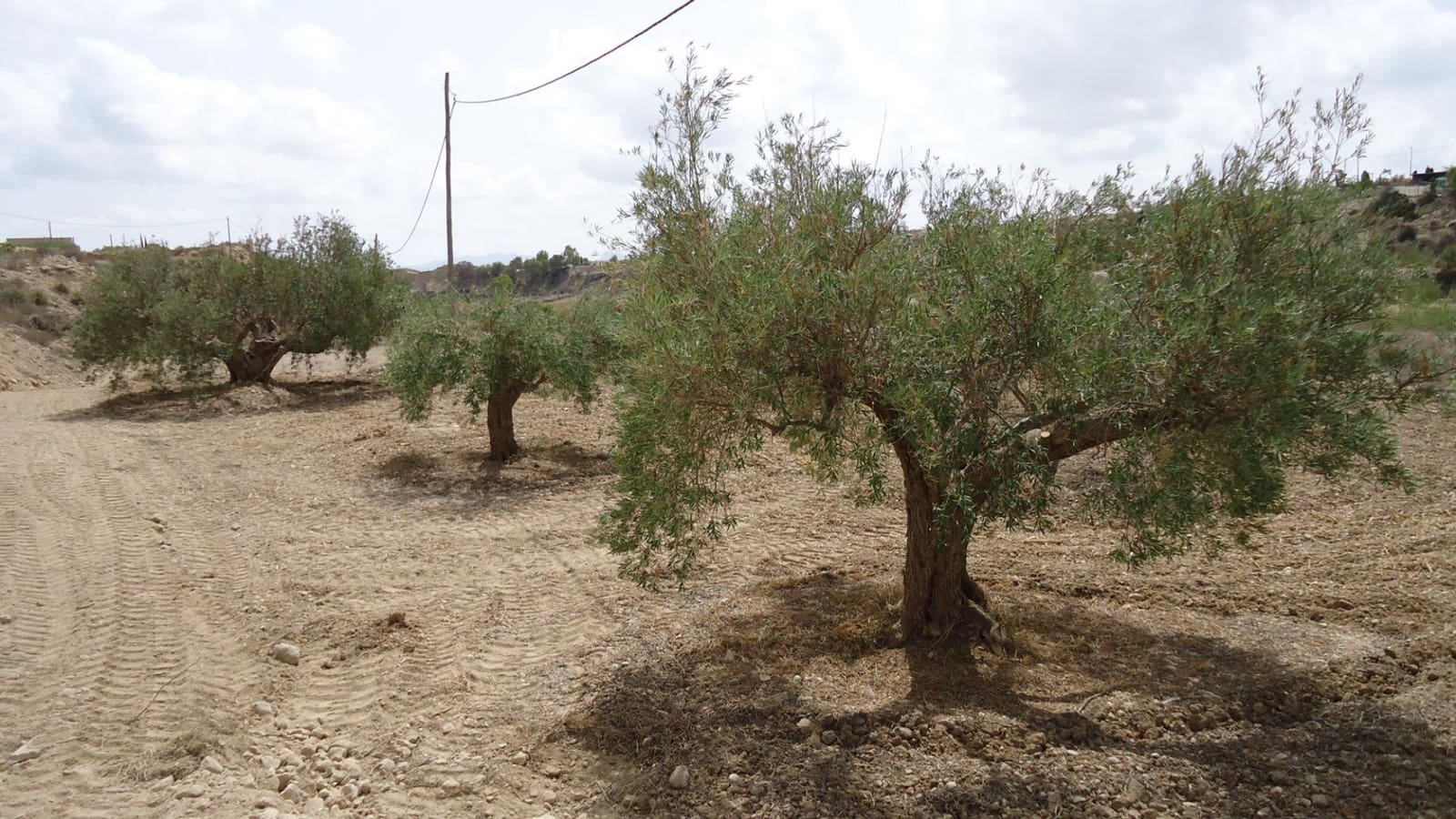 Bouwgrond te koop in Abanilla - € 19.900 (Ref: 10014445)