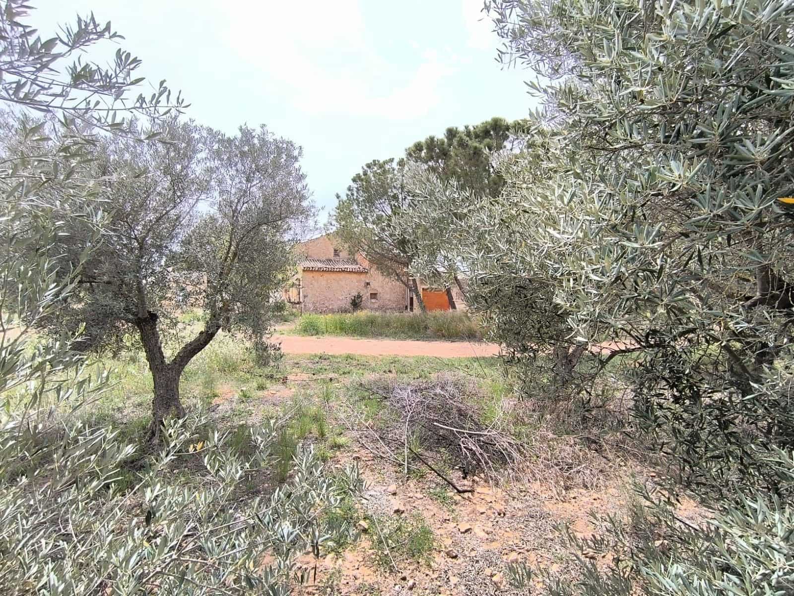 3 Zimmer Finca/Landgut zu verkaufen in Yecla mit Garage - 31.900 € (Ref: 10014455)