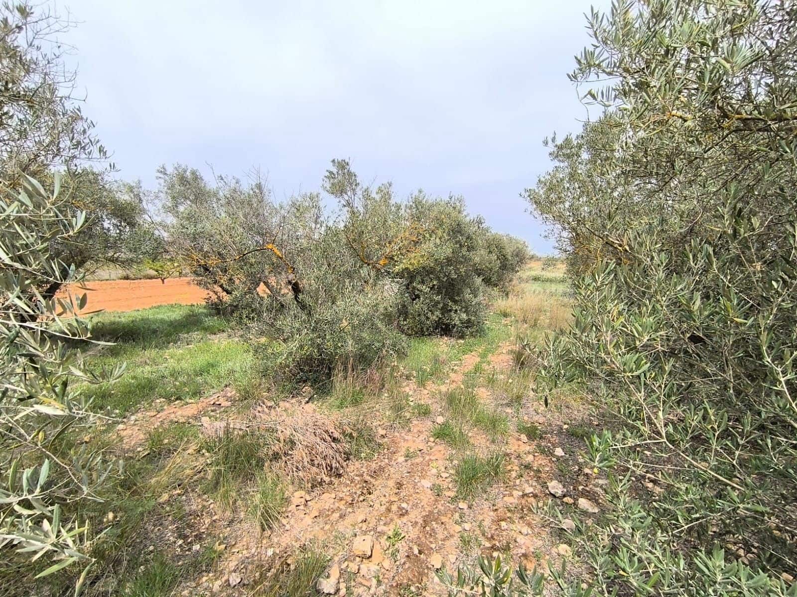 3 Zimmer Finca/Landgut zu verkaufen in Yecla mit Garage - 31.900 € (Ref: 10014455)