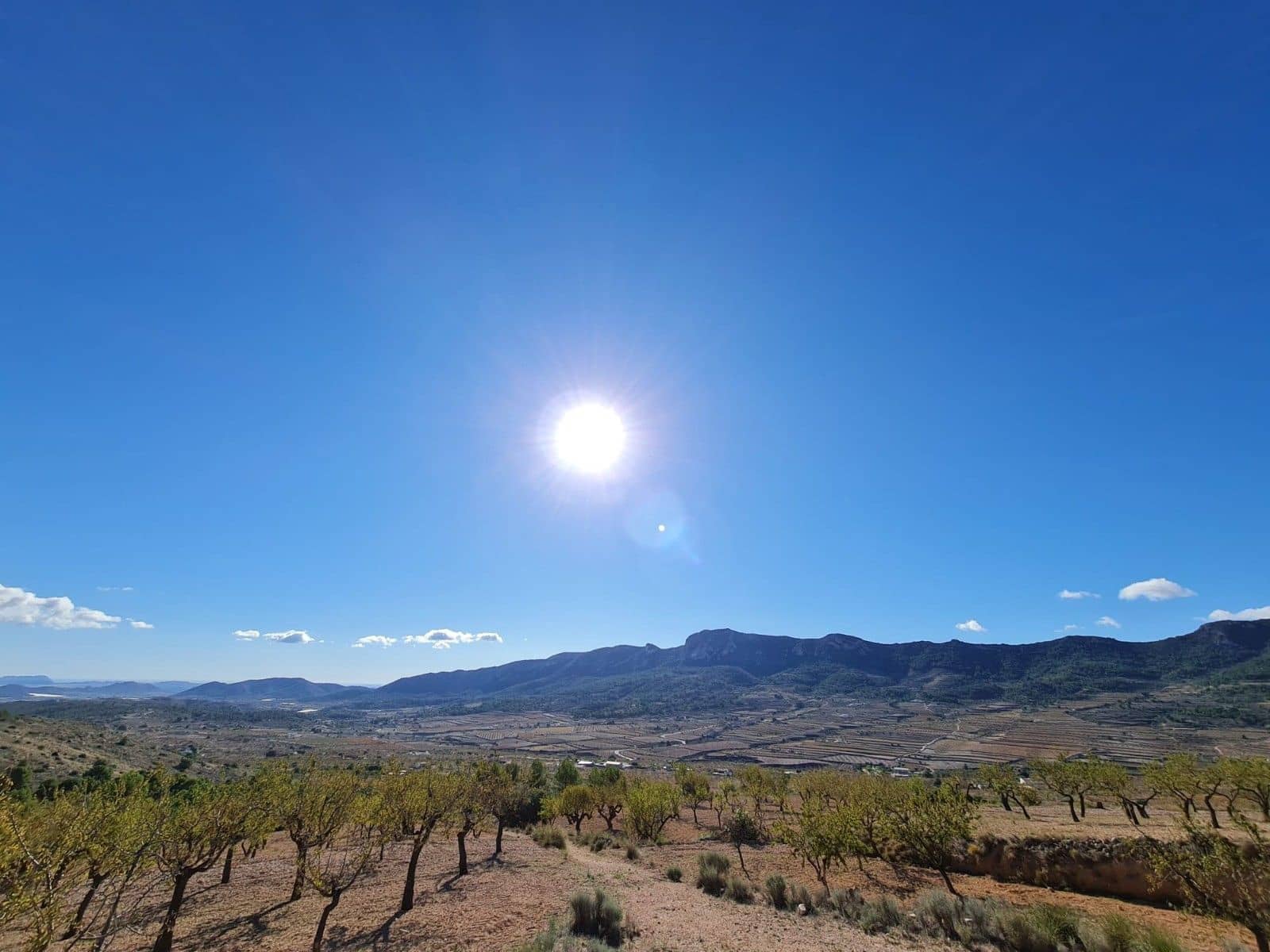 Tomt till salu i La Romana - 25 995 € (Ref: 10014463)