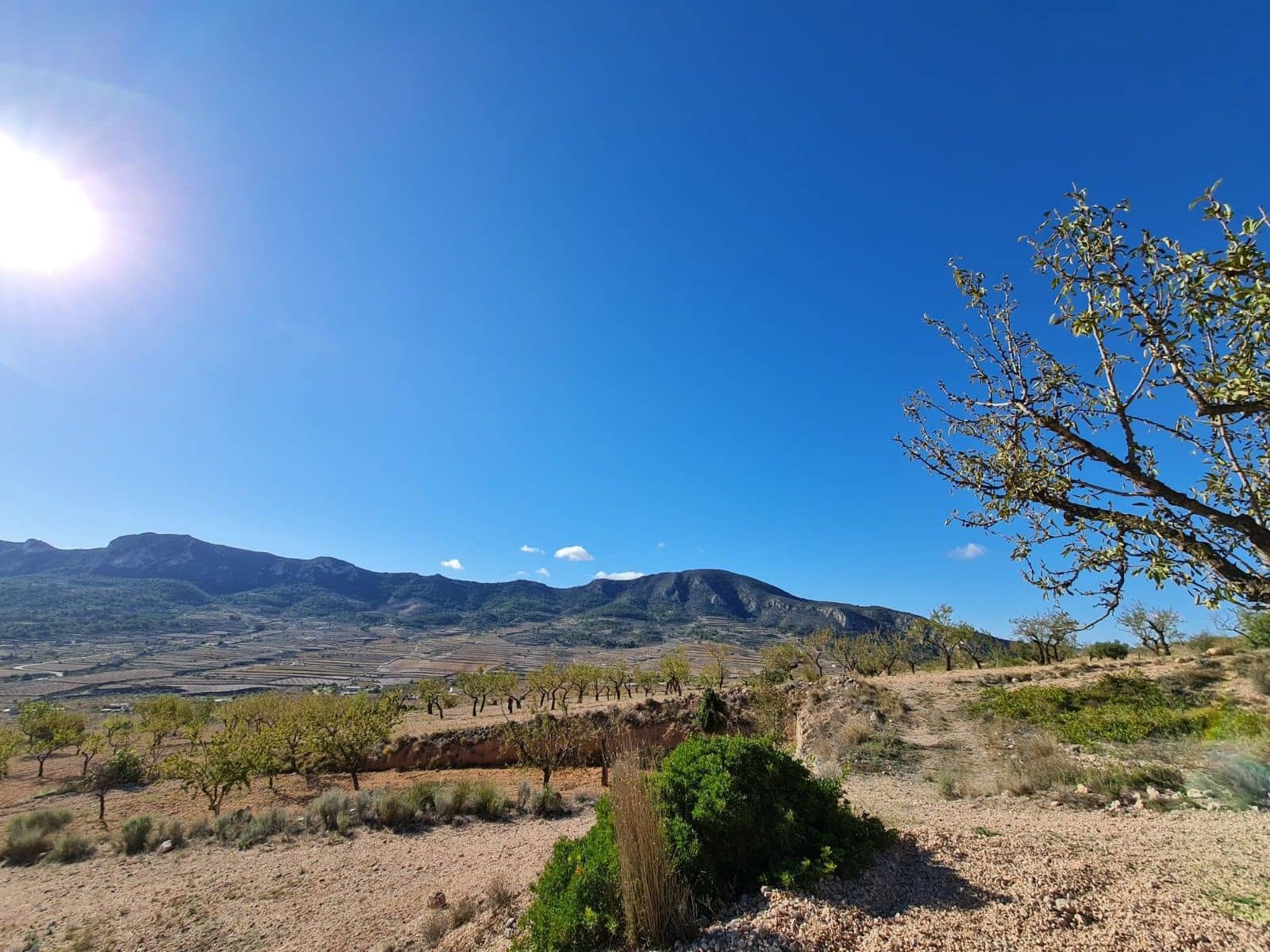 Tomt till salu i La Romana - 25 995 € (Ref: 10014463)