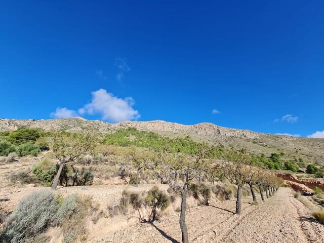 Building Plot for sale in La Romana - € 25,995 (Ref: 10014463)