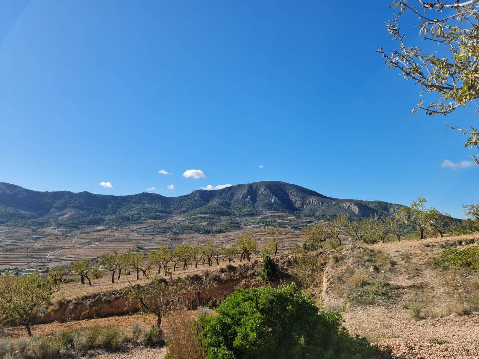 Tomt till salu i La Romana - 25 995 € (Ref: 10014463)