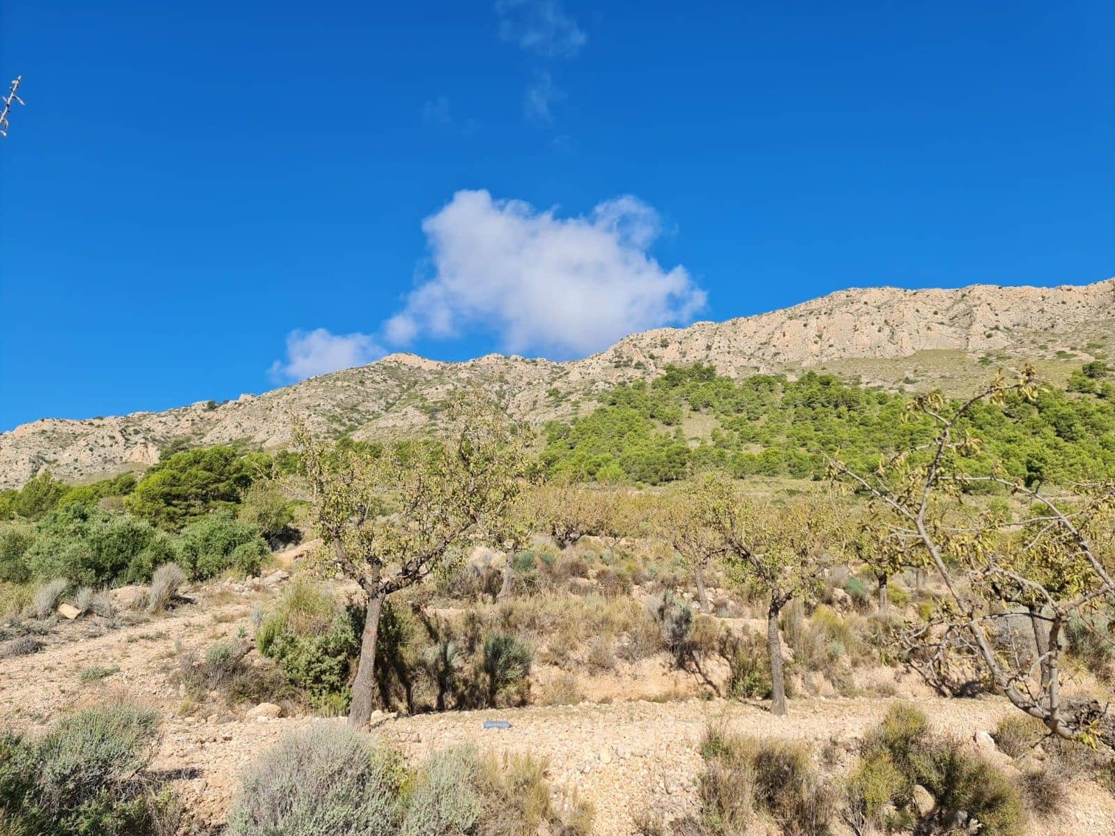 Tomt till salu i La Romana - 25 995 € (Ref: 10014463)
