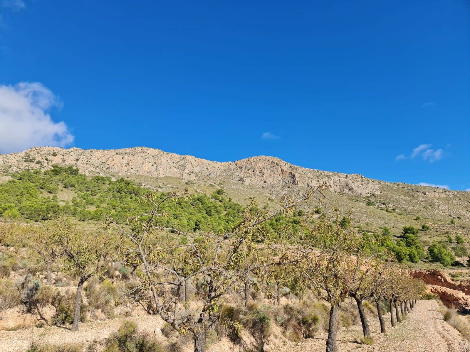 Tomt till salu i La Romana - 25 995 € (Ref: 10014463)