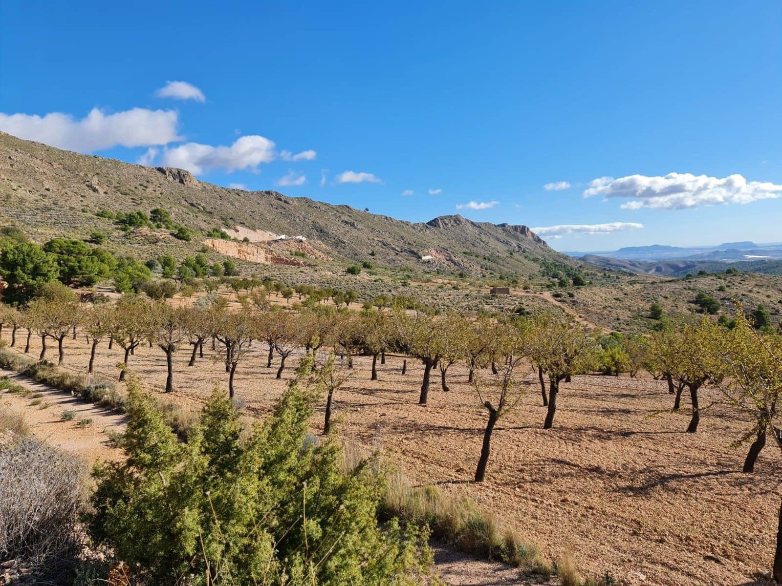 Tomt till salu i La Romana - 25 995 € (Ref: 10014463)