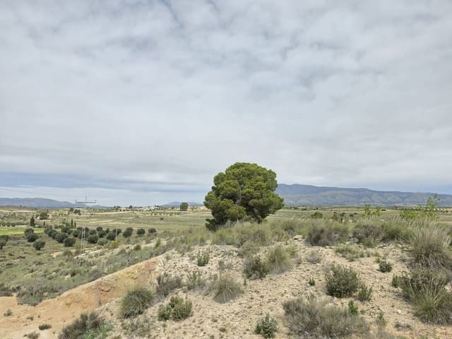 Terrain à Bâtir à vendre à Jumilla - 18 995 € (Ref: 10014466)