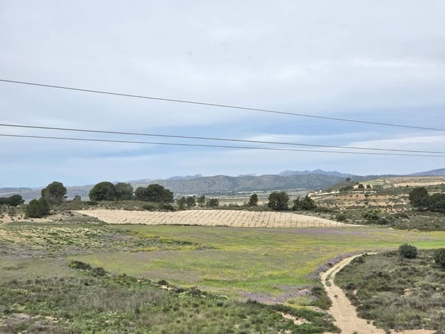 Terrain à Bâtir à vendre à Jumilla - 18 995 € (Ref: 10014466)
