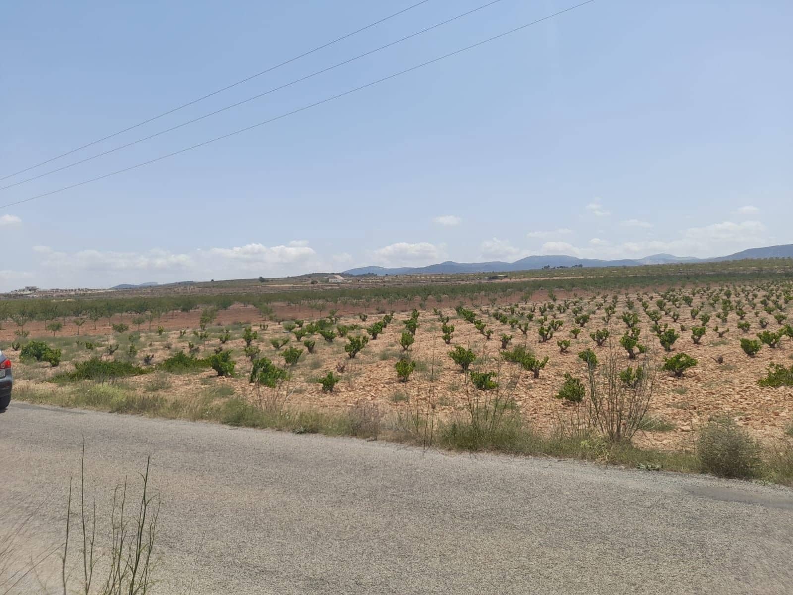 Area Edificabile in vendita in Pinoso - 32.995 € (Rif: 10014564)