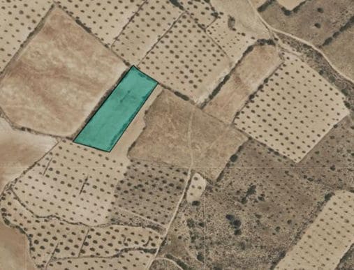 Terreno para Construção para venda em Yecla - 12 000 € (Ref: 10014574)
