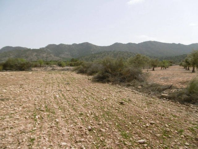Terreno para Construção para venda em Yecla - 12 000 € (Ref: 10014574)