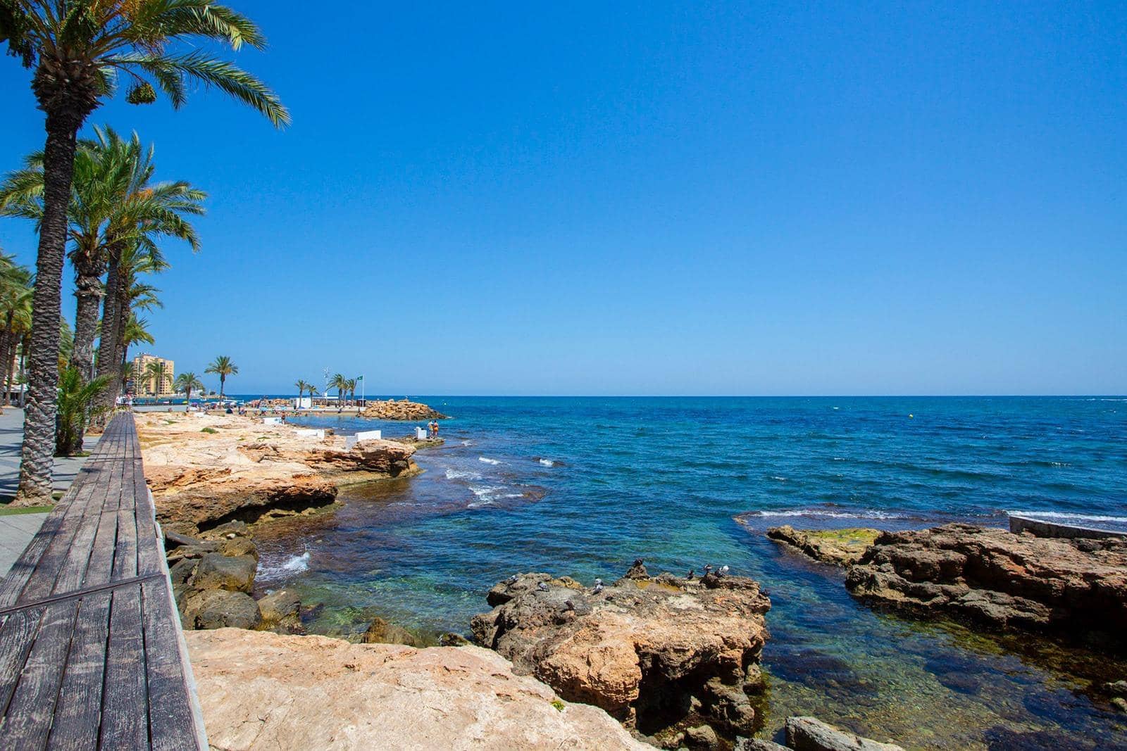 Apartamento de 1 habitación en Torrevieja en venta con piscina - 110.000 € (Ref: 9252822)