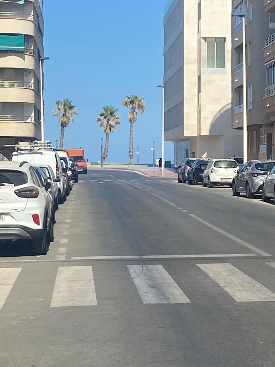 Commercial for sale in Torrevieja - € 320,000 (Ref: 9253323)