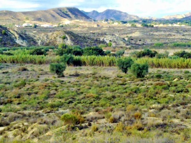 Solar/Parcela en Torremendo, Orihuela en venta - 150.000 € (Ref: 9313084)