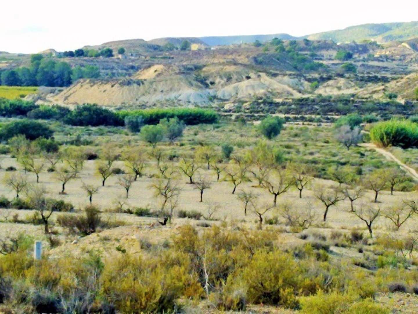 Solar/Parcela en Torremendo en venta - 150.000 € (Ref: 9313084)