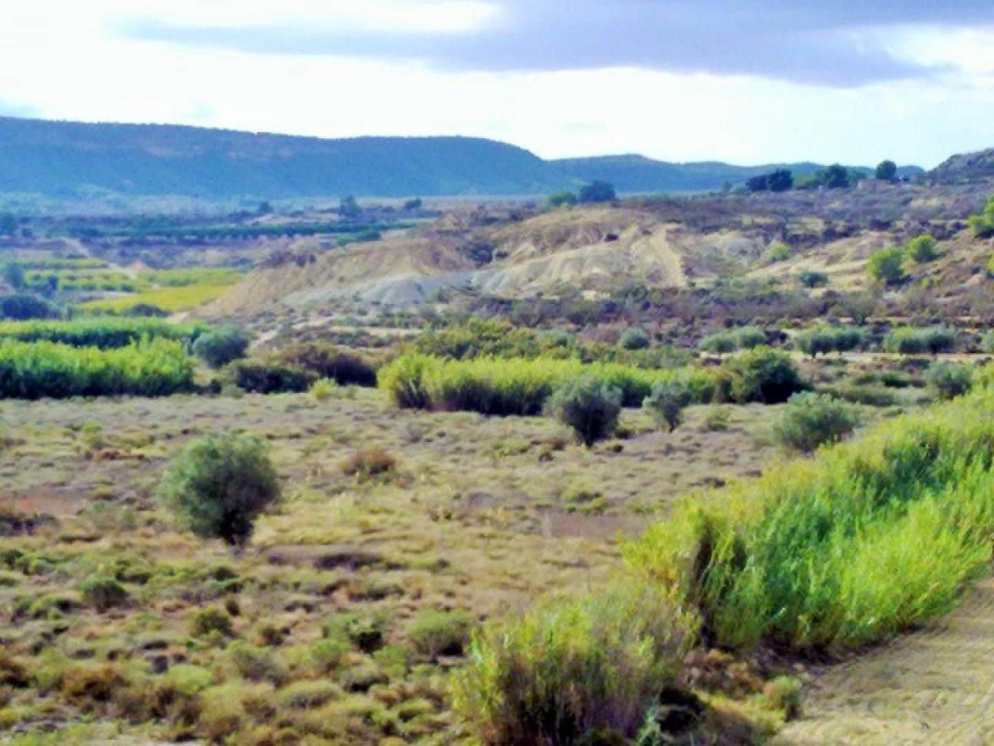 Solar/Parcela en Torremendo en venta - 150.000 € (Ref: 9313084)