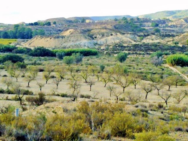 Solar/Parcela en Torremendo, Orihuela en venta - 150.000 € (Ref: 9313084)