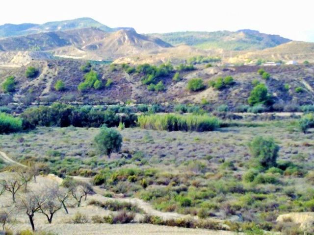 Solar/Parcela en Torremendo, Orihuela en venta - 150.000 € (Ref: 9313084)