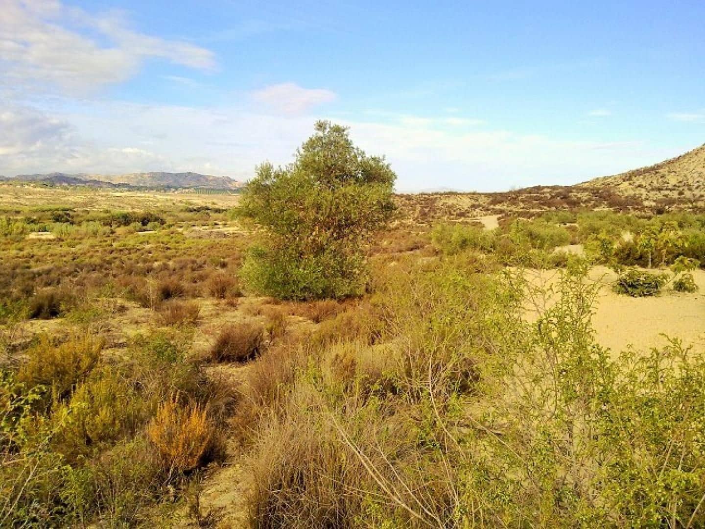 Solar/Parcela en Torremendo en venta - 150.000 € (Ref: 9313084)
