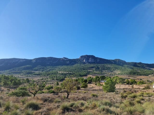 Bouwgrond te koop in La Romana - € 35.995 (Ref: 9313094)