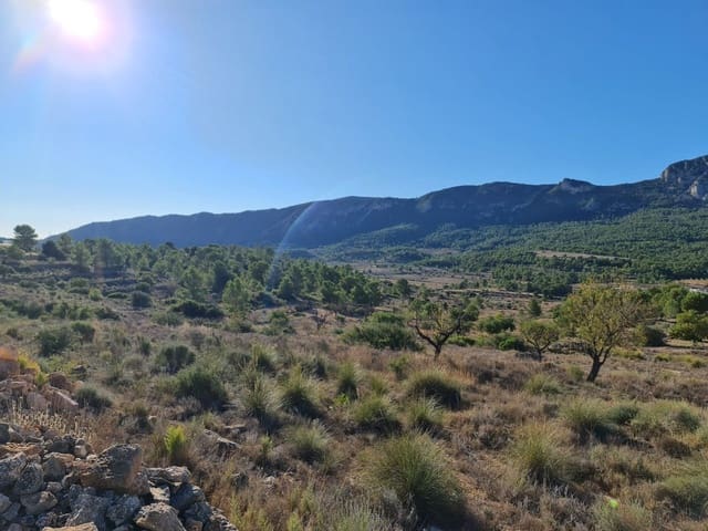 Bouwgrond te koop in La Romana - € 35.995 (Ref: 9313094)