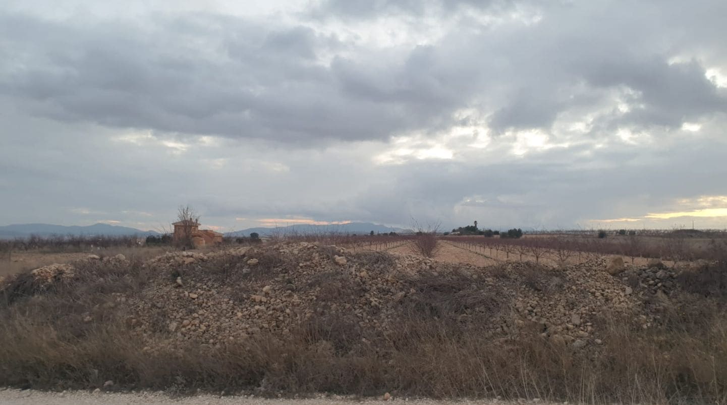 Area Edificabile in vendita in Pinoso - 30.995 € (Rif: 9313146)