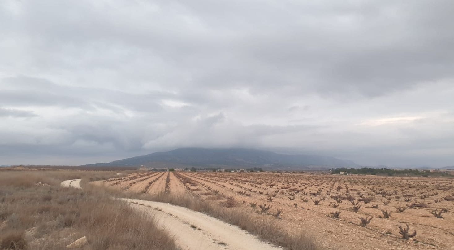 Area Edificabile in vendita in Pinoso - 30.995 € (Rif: 9313146)
