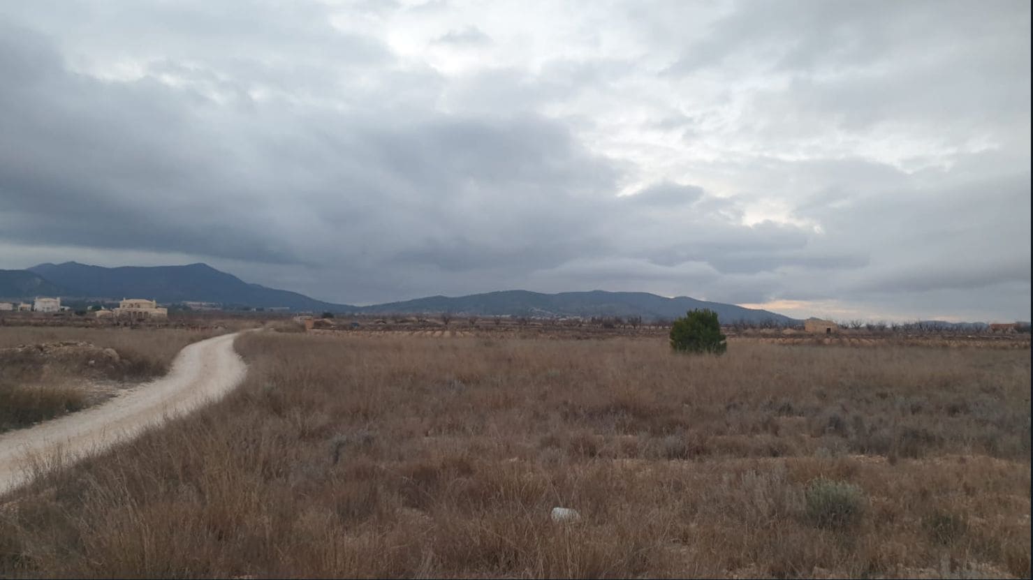 Area Edificabile in vendita in Pinoso - 30.995 € (Rif: 9313146)
