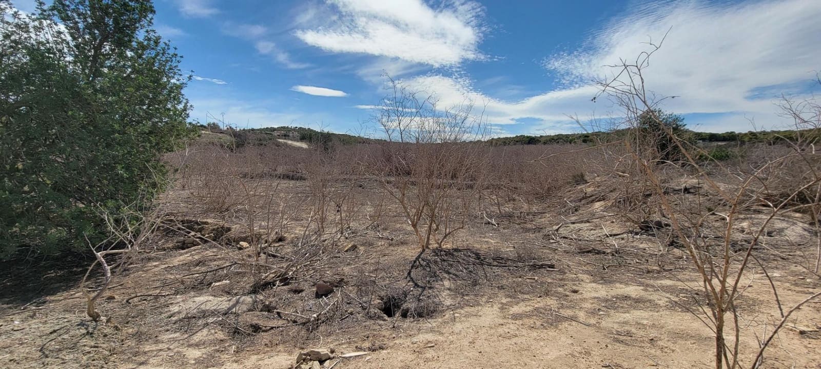 1 quarto Quinta/Casa Rural para venda em San Miguel de Salinas com piscina - 80 000 € (Ref: 9313171)