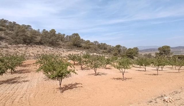Bouwgrond te koop in Cañada de la Lena, Abanilla - € 24.310 (Ref: 9313212)