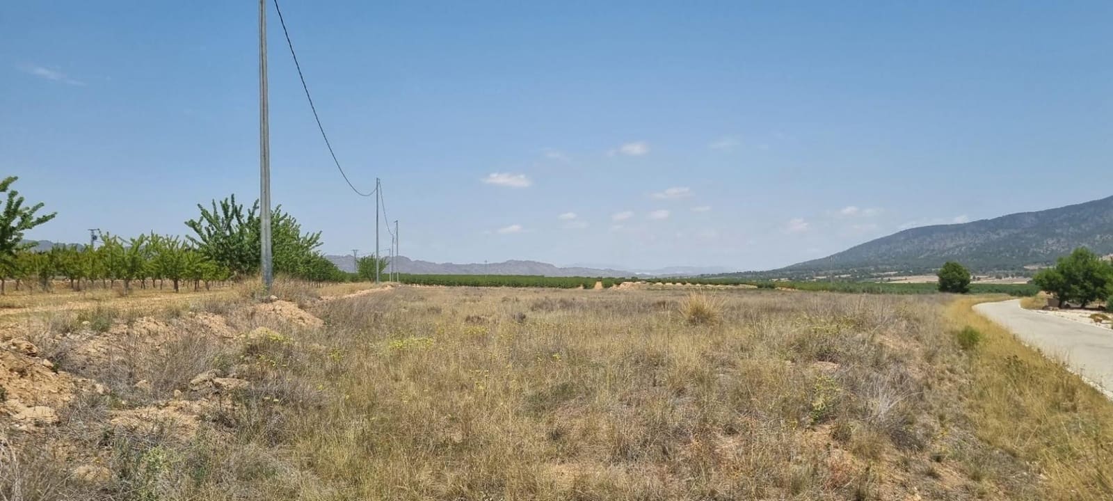 Building Plot for sale in Yecla - € 25,995 (Ref: 9313250)