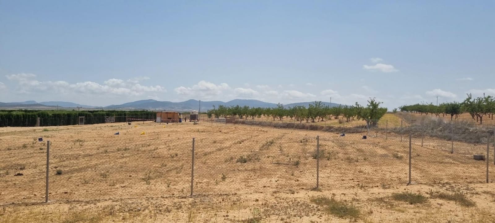 Building Plot for sale in Yecla - € 25,995 (Ref: 9313250)