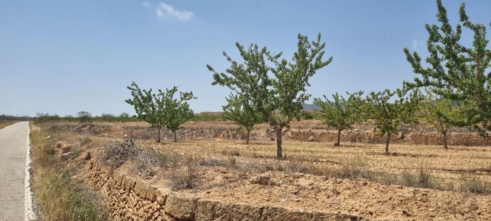 Building Plot for sale in Yecla - € 25,995 (Ref: 9313250)