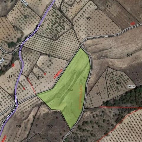 Building Plot for sale in Raspay, Yecla - € 25,995 (Ref: 9313277)