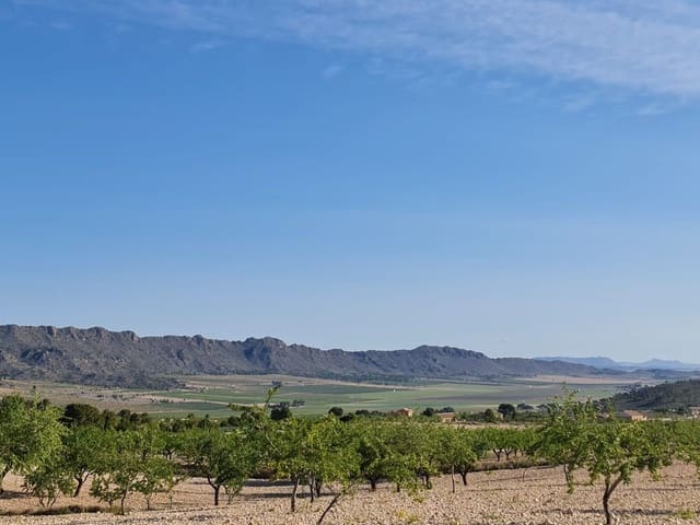 Building Plot for sale in Raspay, Yecla - € 25,995 (Ref: 9313277)