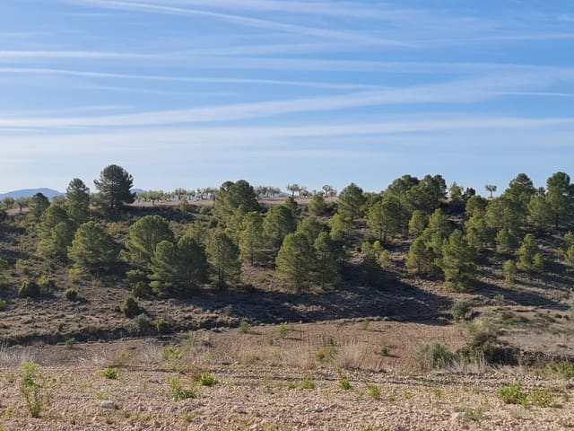 Building Plot for sale in Raspay, Yecla - € 25,995 (Ref: 9313277)