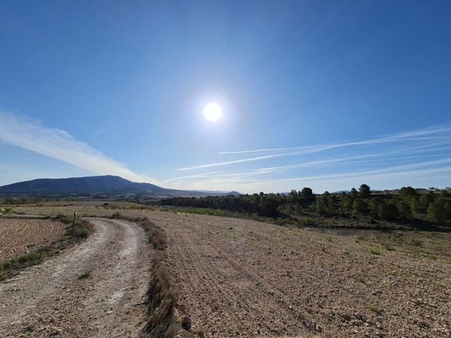 Building Plot for sale in Raspay, Yecla - € 25,995 (Ref: 9313277)