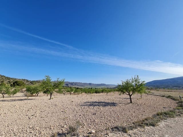 Building Plot for sale in Raspay, Yecla - € 25,995 (Ref: 9313277)