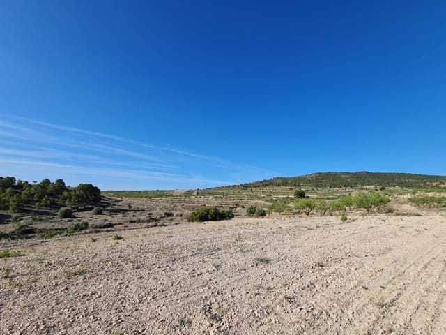 Building Plot for sale in Raspay, Yecla - € 25,995 (Ref: 9313277)