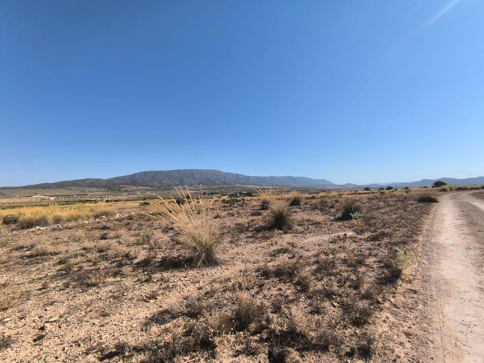 Byggetomt til salgs i Pinoso - € 32 000 (Ref: 9313484)