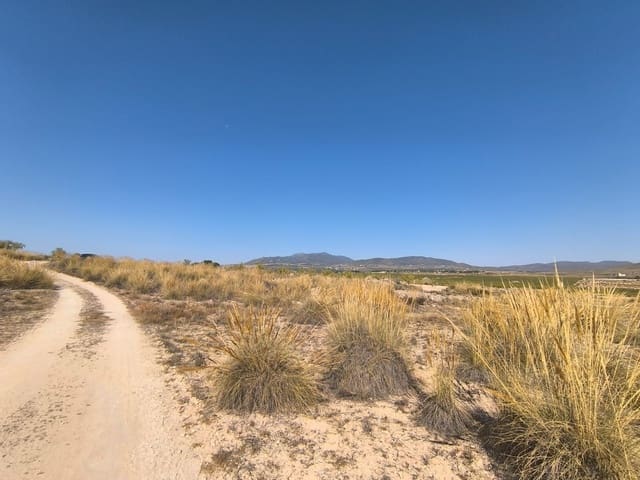 Bouwgrond te koop in Pinoso - € 32.000 (Ref: 9313484)